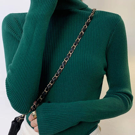 Heliar Women Fall Turtleneck Sweater Knitted Soft Pullovers Cashmere Jumpers Basic Soft Sweaters For Women 2024 Autumn Winter