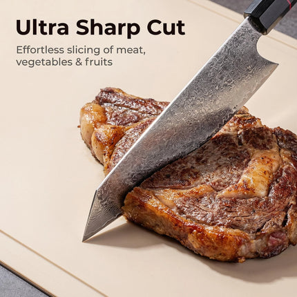 Professional Damascus Knife Cleaver Meat Slicing Fruit Fish BBQ Boning Knife G10 Handle Damascus Steel Kitchen Knives Chef Knife