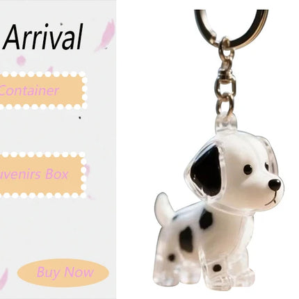 New Transparent Cat Hair Storage Keychain Cute DIY Pet Fur Keepsake Capsule Portable Souvenirs Keychain Pet Lovers