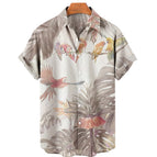 CS2024AQ8556 / XL