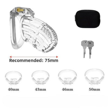 BDSM Chastity Cage 4 Size Ring Penis Cage Device Femdom Restraint Penis Lock Breathable Urethral Lock Bondage Device for Men
