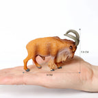 Ammotragus