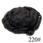 220# / 120% / 6 inches|8x10|free