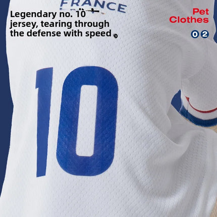 French  football team Pet Breathable Mesh Jersey Summer Quick Dry Vest Thin Cool T Shirt Clothes for Cats Dogs Puppy