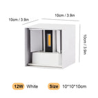 Warm light 3000K / 12W White-LEDS