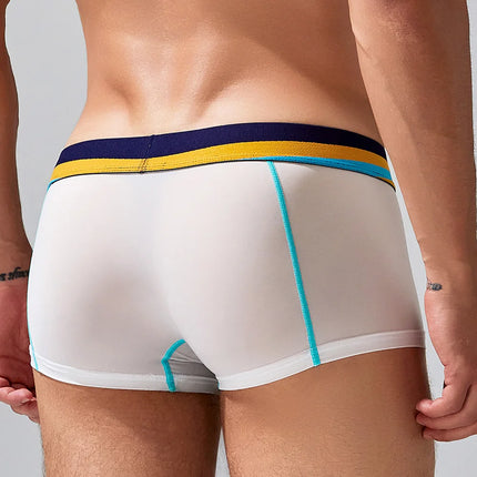 SEOBEAN Men's Sheer Boxer Briefs Nylon Low-Rise Underwear Lightweight Breathable Fashion Stylish Thin See-Through 230215 412114