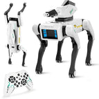 Shoot robot dog