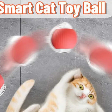 Cat Interactive Ball Toy Automatic Rolling Ball Faux Tail Rechargeable Smart Pet Electric Toy Dog Cat Training Imitate Mouse