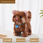Bell cat Brown