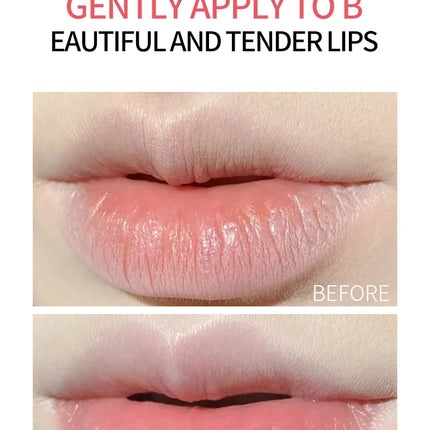 8pcs/box Fruits Lip Balm Sets Moisturizing Lipstick Makeup Base Moisturizer Lip Balm Anti-Cracking Lips Skin Care