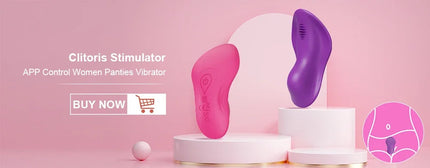 Women Vibrating Egg Vagina Vibrator Remote Control Wearable Panties Vibrator Female Masturbation Interaction Sex Toy for Couples