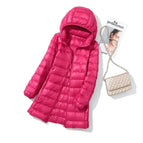 701 Rose Red / L
