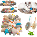 random / 6PCS