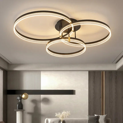 Nordic home decoration salon bedroom decor led lamp Ceiling lights for room lamps for living room indoor lighting lamparas