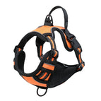 Orange / S(4-7KG)