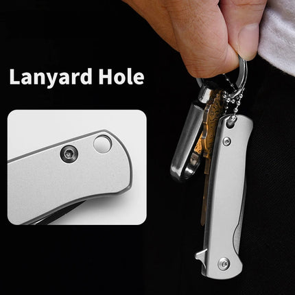 FREETIGER All Steel Pocket Knife D2 Blade 420 Stainless Steel Handle Fruit Keychain Pocket Tool Outdoor Camping Small EDC Knives