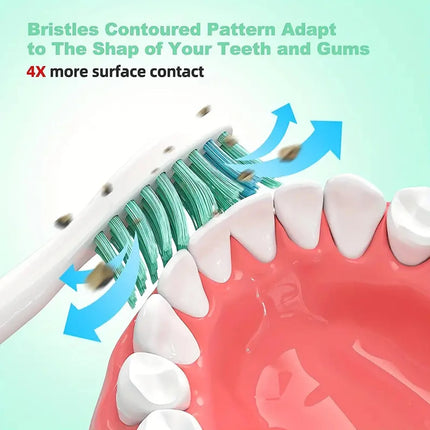 Sonicare Click-On Brush Heads / Têtes Click-On Sonicare