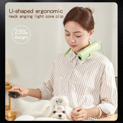 Pet Grooming Hair Dryer, High-Power, Silent, Energy-Saving, Dog Beauty Quick Drying Hair, Only Suitable For Countries With 220V