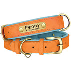 Orange / L weight 10-22.5 kg