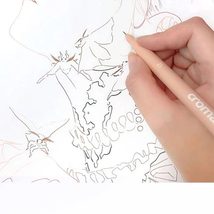 Micron Liner Fineliner Pen 0.05 0.03 0.1 0.5 Brush Tip Black Brown Fineliner Sketching Manga Drawing Pen Color Sketch Stationery