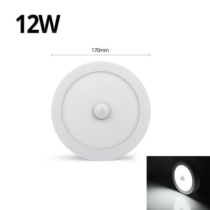 18W 12W 6W Night light LED Ceiling Lamp With Motion Sensor PIR Corridor Bedroom Toilet Lights lampe 85-265V Human Body Induction
