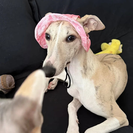 Summer Little Greyhound Sunscreen Hat Outdoor Hat Ear Holes Adjustable Cap for Whippet Breathable Cool Hat for Small Medium Dogs