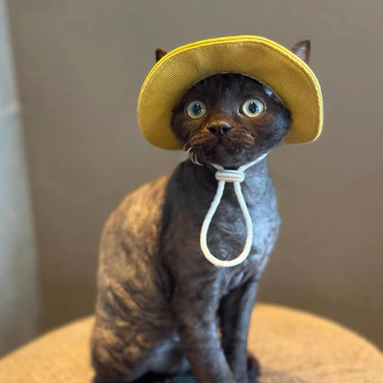 Spring Summer Cotton Cat Hat With Ear Holes For Sphynx Hairless Cats Solid Color Devon Rex Sunscreen Tie Dye Adjustable Hats