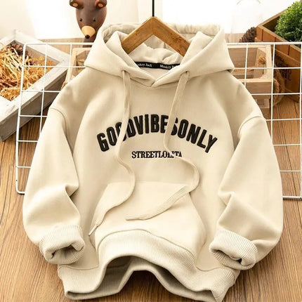 !!!viral!!! Retro Hong Kong Style Fleece Lined Thickened Hoodie Loose Fit Autumn Winter / Chandail à Capuchon Rétro Style Hong Kong Doublé Polaire