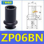 ZP06BN