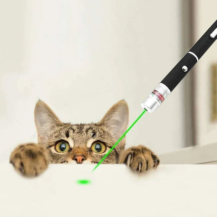 2-in-1 Mini LED Pointer Flashlight Pet Training Torch Scratching Toys for Pets and Cats Christmas Birthday Gifts No Battery