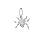 Silver Spider