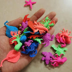 marine life