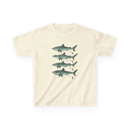 Shark Species T-Shirt, Vintage Style Marine Biology T-Shirt Featuring Natural Tiger Shark, Hammerhead Shark, and Leopard Shark