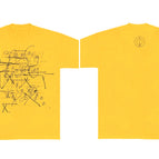 1 / M
