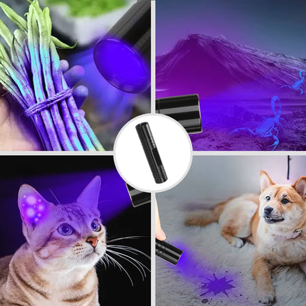 395nm UV Pen FLaslight,Blacklight Flashlight w/ Clip Portable Detector for Hotel/Pet Urine/Bed Bugs/Camping(AAA Battery Powered)