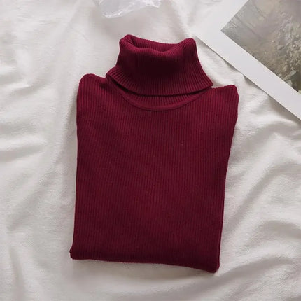 Korean High Collar Knitted Long Sleeve Base Shirt Pure Color Slimming Versatile Underwear Elegant Inner Long Top Women's Fashion