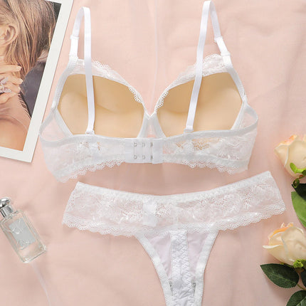 Hot selling women's sexy embroidered lace bra set with steel ring gathering push up and seamless thong set B6064