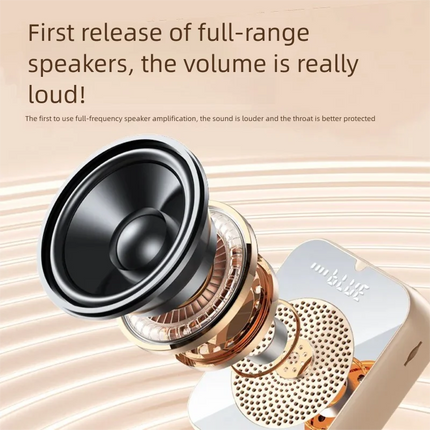 Portable wireless Bluetooth voice speaker microphone for teaching teachers, lecturers, tour guides, speakers