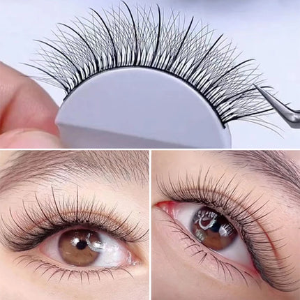 New 7D C/D Curl Eye Lashes Handmade Premade Volume Fans W Eyelash Extensions Natural Individual Lashes