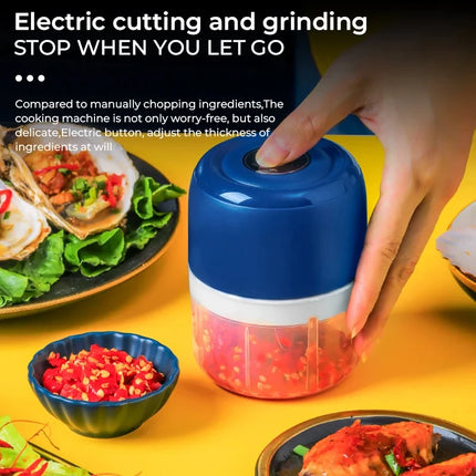 Electric garlic puree machine, garlic grinder, portable rechargeable meat grinder, vegetable mixer, 250ML kitchen tool grinder