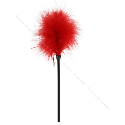 Beginner BDSM Flirting Set –Sensual Tickler Feathers & Brushes Kit, Adult Sensory Massage Tools for Couples Women Men