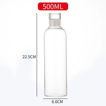 Glass Water Bottle with Leak-Proof Lid, Reusable Eco-Friendly Drinking Bottle Travel Mug for Drinks and Sauces