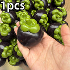 1pcs