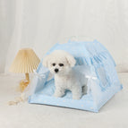 Blue / L 50x50cm / China Mainland
