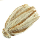 P27-613 / 12inches / 1Pcs/Lot