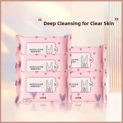 Disposable Portable Makeup Remover Wipes Three-in-One Deep Cleansing Affordable 10 Pieces Set Convenient Travel Size