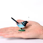 Fairy wren