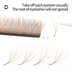 Brown 4D W / D / 11mm
