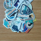 VV-50pcs