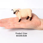 Shropshires-2